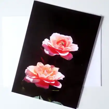 Rose Greeting Card by Tilia Publishing
