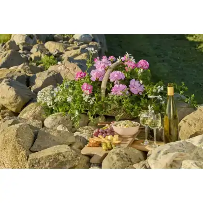 picnicpot