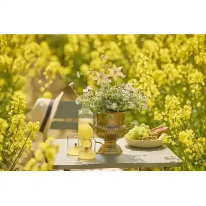 Perfect Picnics with Geraniums