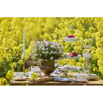 Perfect Picnics with Geraniums