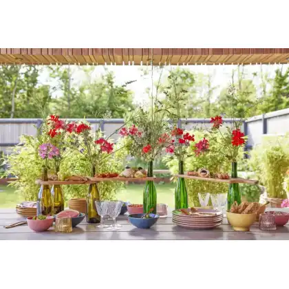 Perfect Picnics with Geraniums