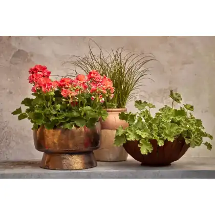 Heatwave proof bouquets