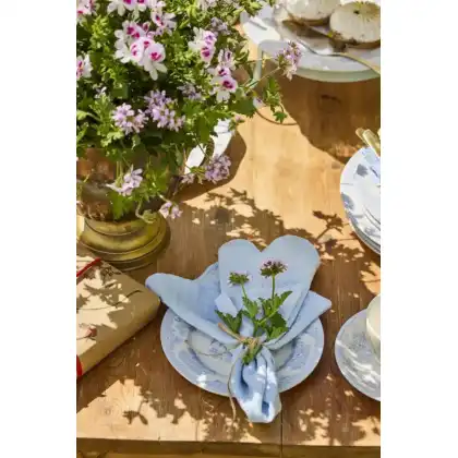Perfect Picnics with Geraniums
