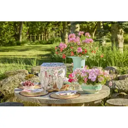 Perfect Picnics with Geraniums