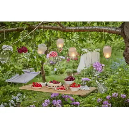 Perfect Picnics with Geraniums