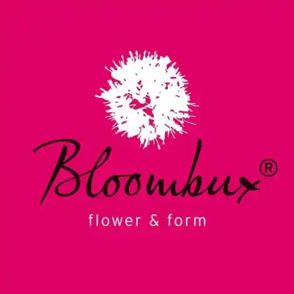 Bloombux logo
