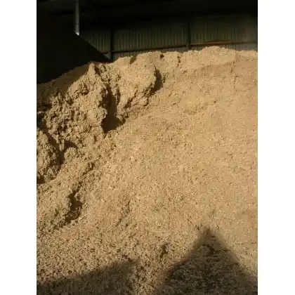 Bulrush Horticulture