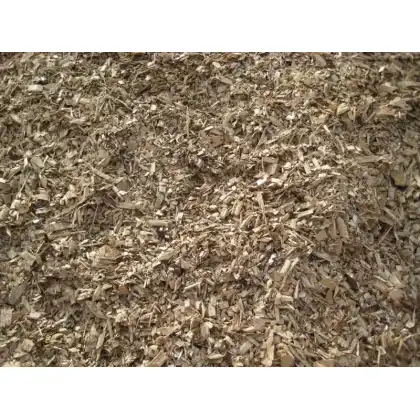 Bulrush Horticulture