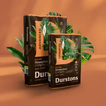Durstons_Houseplant_Advanced_STANDING