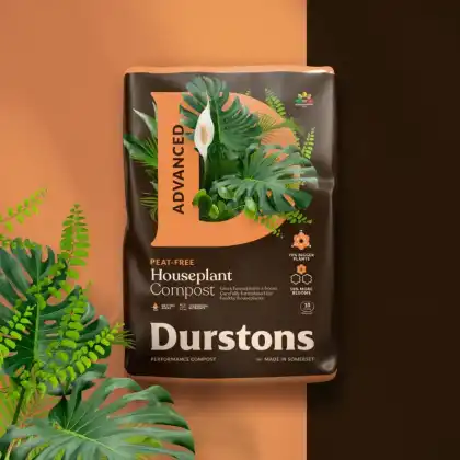 Durstons_Houseplant_Advanced_FLAT
