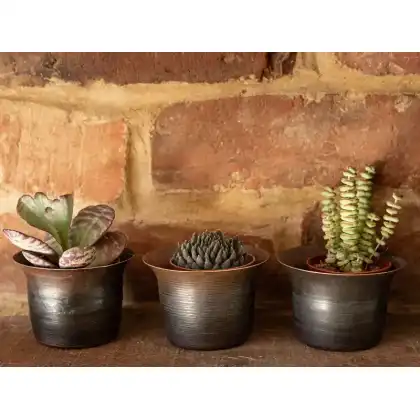 Blackened Copper Pots