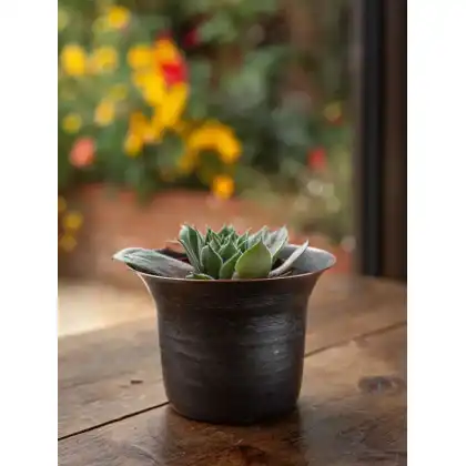Blackened Copper Pot