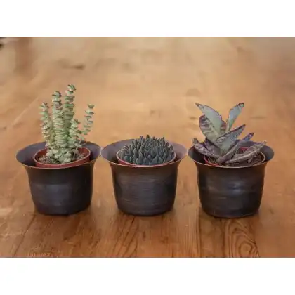 Blackened Copper Pots