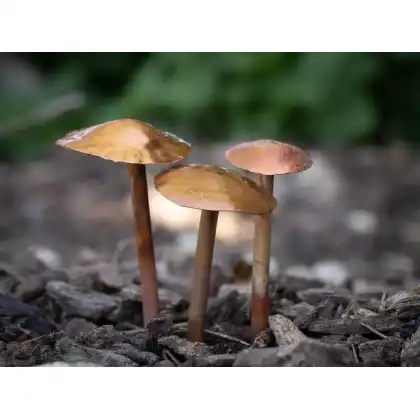 Handmade Copper Mushrooms