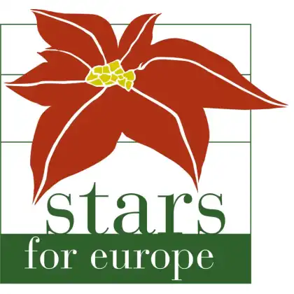 Stars for Europe logo