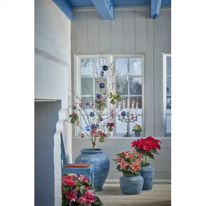 Scandi chic Christmas style