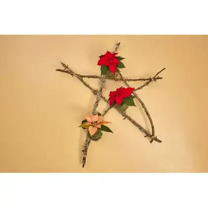 DIY Floral Star Wreath