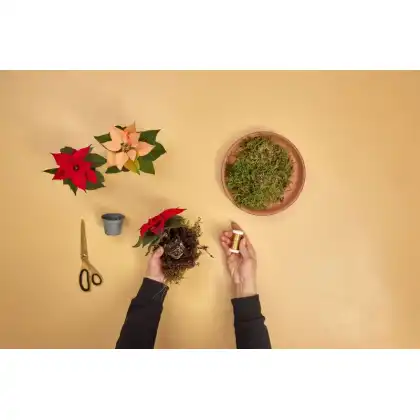 DIY Floral Star Wreath