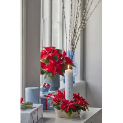 Advent candle decoration