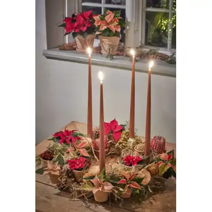 Christmas Wreath with poinsettias and dried flowers