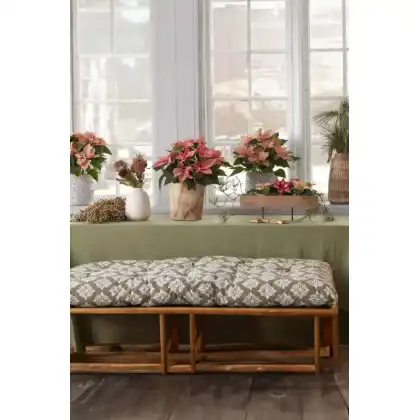 2024_Poinsettia_04000_Cosy_Cottage_Charm_13