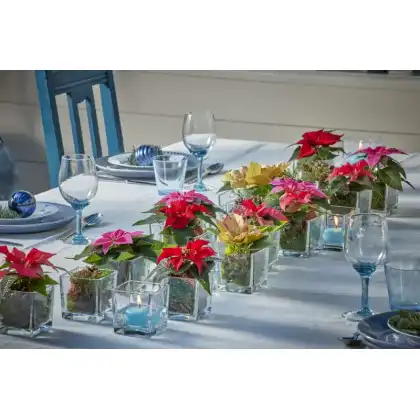 Scandi chic Christmas tablescape