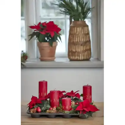 2024_Poinsettia_04160_DIY_Advent_Muffin_Tin_Centrepiece_08 (1)