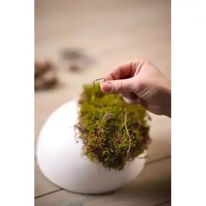 Christmas Craft: Natural Nutshell Decoration