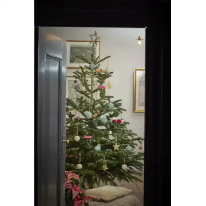 Christmas Tree with poinsettias