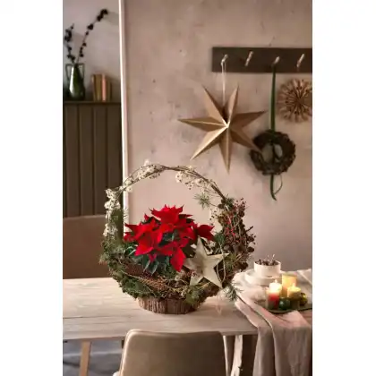 Christmas Gift Basket
