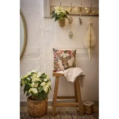 Superstyle your Home with the Stars of the Season