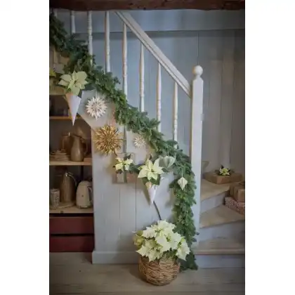 Superstyle your Home with the Stars of the Season