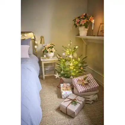 Superstyle your Home with the Stars of the Season