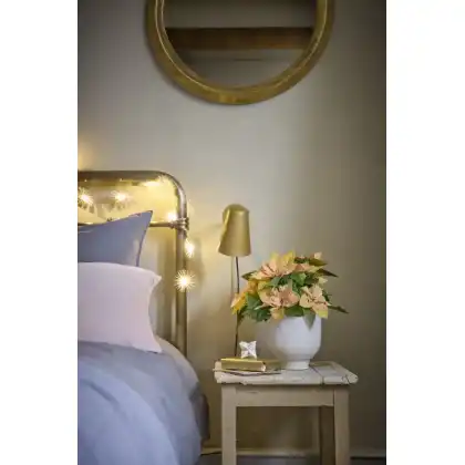 Superstyle your Home with the Stars of the Season