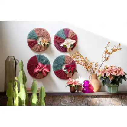 Superstyle your Home with the Stars of the Season