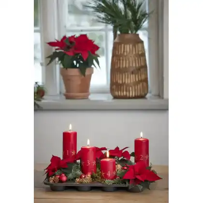 Festive Table Centrepiece with Poinsettias