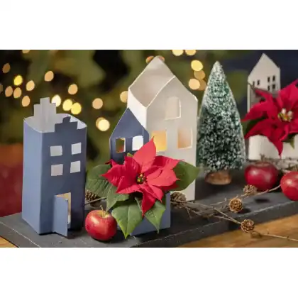 DIY Festive crafts with Poinsettias