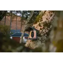 FeatherSnap smart bird feeder with HD camera