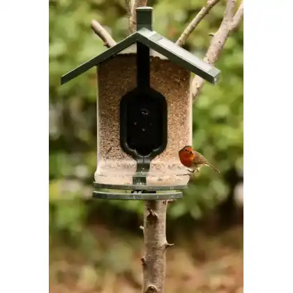 FeatherSnap smart bird feeder with HD camera: Heather Osborn Photography