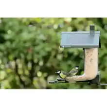 FeatherSnap smart bird feeder with HD camera: Heather Osborn Photography