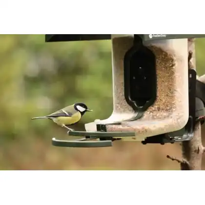 FeatherSnap smart bird feeder with HD camera: Heather Osborn Photography