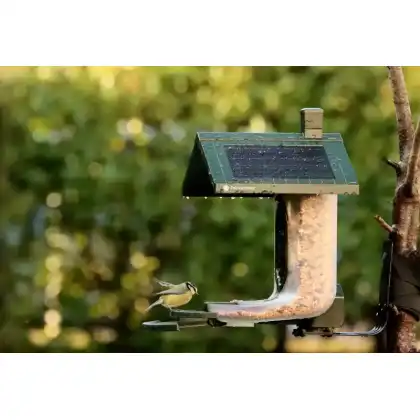 FeatherSnap smart bird feeder with HD camera: Heather Osborn Photography