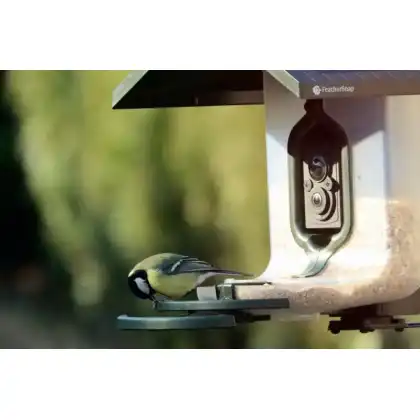 FeatherSnap smart bird feeder with HD camera: Heather Osborn Photography