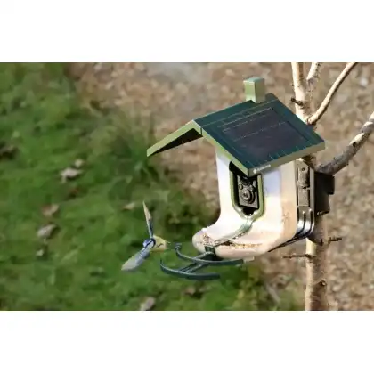 FeatherSnap smart bird feeder with HD camera: Heather Osborn Photography