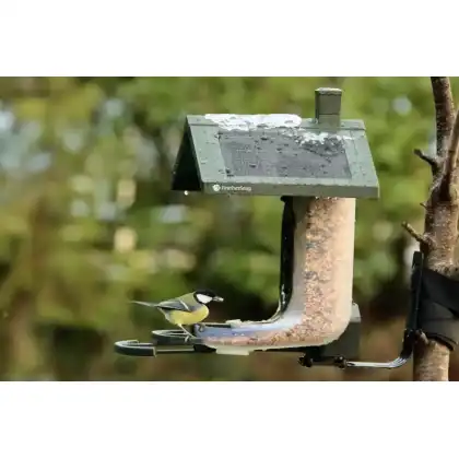 FeatherSnap smart bird feeder with HD camera: Heather Osborn Photography