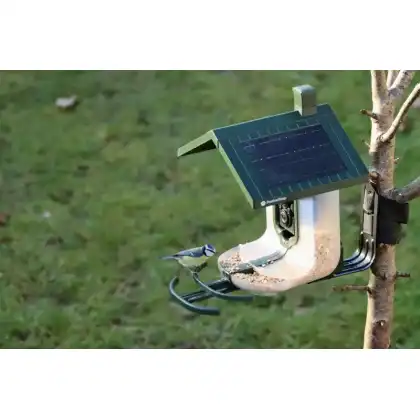 FeatherSnap smart bird feeder with HD camera: Heather Osborn Photography