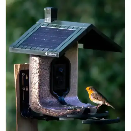 FeatherSnap smart bird feeder: Jake Cohen photography