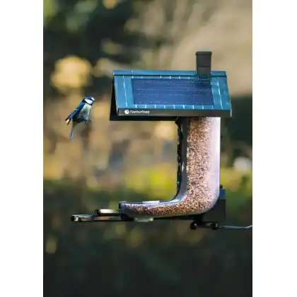 FeatherSnap smart bird feeder: Jake Cohen Photography