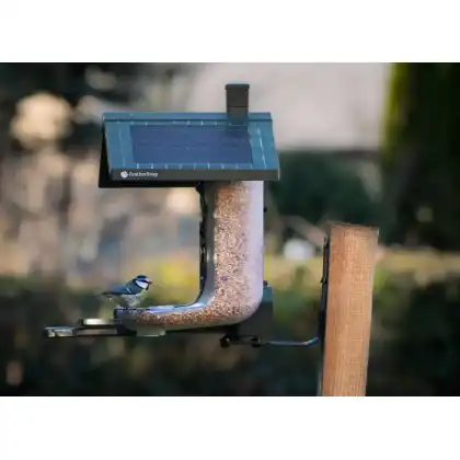 FeatherSnap smart bird feeder: Jake Cohen photography