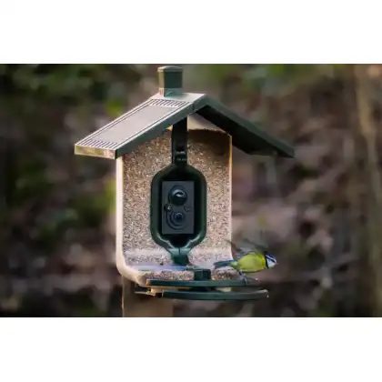 FeatherSnap smart bird feeder: Jake Cohen Photography
